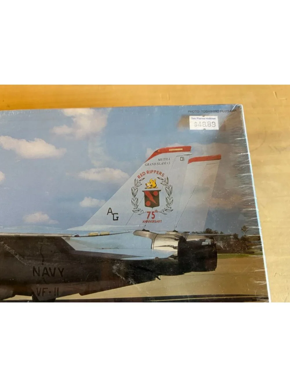 Hasegawa 1/72 F-14B Tomcat 